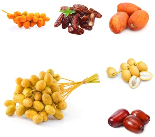 semi di palma da datteri - palma da datteri - datteri sementi biologiche, sementi di antiche varietà da datteri in crescita 25pcs