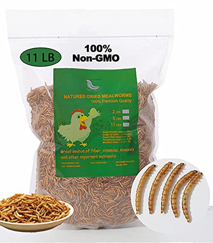 Euchirus Non-GMO High-Protein Large Dried Mealworms for Chickens, Natural Grubs and Poultry Treats as Chicken Feed,Duck Food, Wild Birds Seed,Fish Food,Reptile Food,Amphibian Food(Mealworms-11LB)