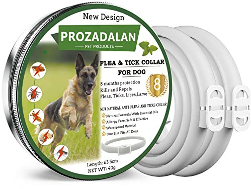 Collare Antipulci e Zecche per Tutti i Tipi di Cani, Regolabile Impermeabile, Antiparassitario, 8 Mesi di Efficacia Protezione, 63cm Taglia Unica (2pack)