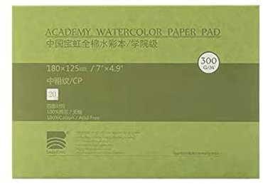 Blocco di carta per acquerelli, BAOHONG Academy, 100% cotone, senza acidi, 300 g/m², stampa a freddo, 20 fogli per blocco (stampa a freddo 12,4 x 17,8 cm)