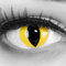 Farbige gelbe Crazy Fun Katzen Kontaktlinsen 'Cat Eye' Mit Stärke mit Gratis Linsenbehälter - Topqualität zu Karneval, Fasching und Halloween (-2.50 Dioptrien)