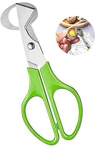 Wachteleier Schere, VOSSOT Edelstahl Eierschneider, Kleine Eierschere Wachteleier, Küchenwerkzeug Eierschalenöffner, Eierschalenschere, Wachtel-Ei-Öffner für Zuhause Restaurant Küche(Grün)