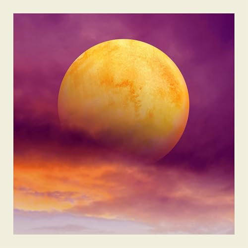 We Took Shelter In The Woods