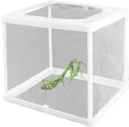 SMELEYOU 2 st Bön Mantis Habitat 16 x 15 x 14 cm, bönande Mantis äggfodral inkubator för tarantlar spindlar sniglar och myror och andra små djur