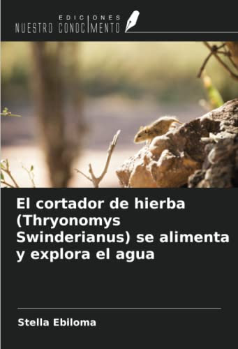 El cortador de hierba (Thryonomys Swinderianus) se alimenta y explora el agua