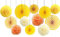 CC wonderland zone 12 Stück Gelb Seidenpapier Pompons und Hängende Papierfächer Set,Papier Seidenpompons und Papier Fächer für Party Deko