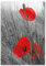 Pixxprint Glasbild, Wandbild aus Echtglas, einzelne Mohnblumen im Getreidefeld, 40x60 cm, inkl. Aufhängung und Abstandshalter