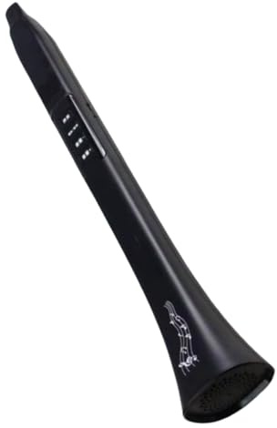 Strumento A Fiato Elettronico | Sintetizzatore Portatile Digitale - Connessione Senza Fili per Feste Casa Spettacoli Pratica Raduni Didattica