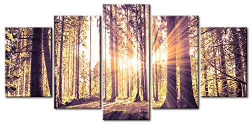 decomonkey - Tableau Acoustique Foret 200x100 5 Pièces - Impression sur Toile Décoration Maison Isolation Peinture Phonique Déco Bureau Des arbres paysage forêt feuilles nature plantes soleil
