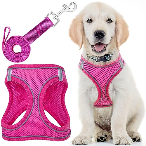 EcoEarth, imbracatura per cani + guinzaglio - taglia L, colore rosa - imbracatura per animali imbottita, design anti-trazione + strisce riflettenti per cani di taglia piccola e media