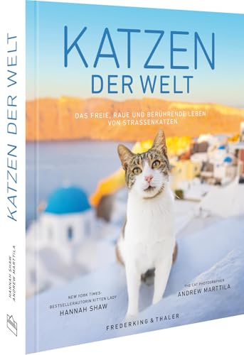 Katzen der Welt: Das freie, raue und berührende Leben von Straßenkatzen: Entdecken Sie die faszinierende Welt der Katzen und ihre einzigartigen Lebensweisen in urbanen Umgebungen.