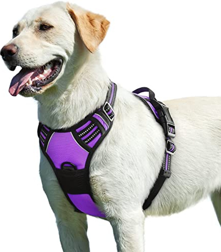 Eagloo Arnes Perro Grande Mediano, Arnes Antitirones Perro Antiescape, Chaleco Acolchado Ajustable, Anillos de Pecho y Espalda, Transpirable con Cinta Reflectante, Ejercer Correr, L Púrpura