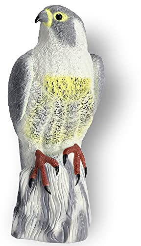 KADAX Répulsif pour oiseaux en plastique, faucon réaliste, oiseau de rapaction, oiseau prédateur factice, répulsif contre les oiseaux, anti-pigeons, lutte contre les nuisibles naturel (1 pièce)