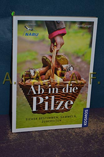 Ab in die Pilze: Sicher bestimmen, sammeln, zubereiten