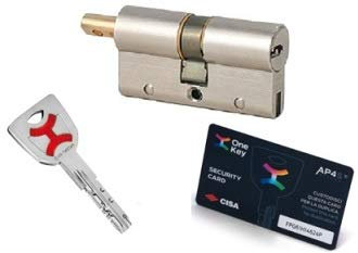 AP4S De Cisa 30x30 POMO Bombin De Seguridad Color Niquel Reforzado Antirotura Antibumping Antitaladro Antiextracción Cerradura Puerta 5 Llaves. Tarjeta de propiedad