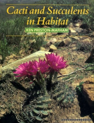 Cacti and Succulents in Habitat