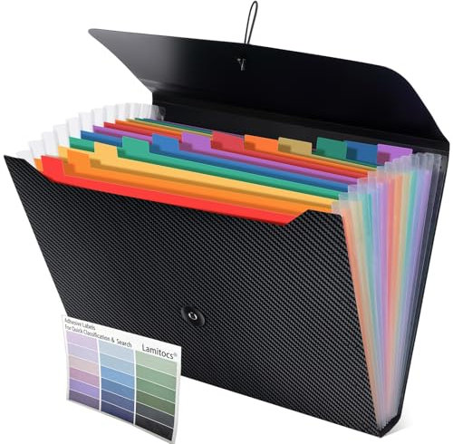 Lamitocs Dokumentenmappe A4, Dateiorganizer mit 13 Fächern und farbigen Etiketten, A4-Kunststoffmappe zur Dokumentenaufbewahrung für Schule, Büro und Zuhause,Schwarz (innen bunt)
