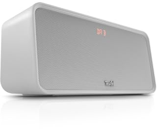 Teufel Boomster 4 Altavoz Bluetooth Robusto con Sistema estéreo 2.1, Sistema de Sonido Dab+ y Radio FM-RDS, hasta 23 Horas de batería, Protección contra Salpicaduras según IPX5, USB-C - Moon Gray