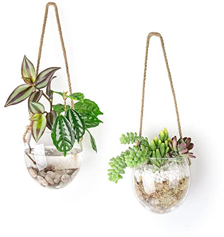 Fioriera sospesa in vetro per piante idroponiche, piante grasse, muschio, tillandsia, decorazione per casa, ufficio, giardino, set da 2