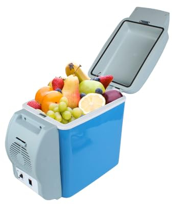 GTEVDK Lightweight Mini Fridge for Bluebird 2016-2024,Cools Warms Portable Mini Small Fridge Accessories