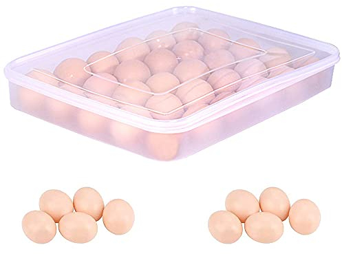 Eier Behälter, Eier Behälter Mit Deckel, Eierbox Aus Kunststoff, Eierbehälter mit Decke, für 30 Eier, Tragbare Ei Aufbewahrungsbox, für Kühlschrank