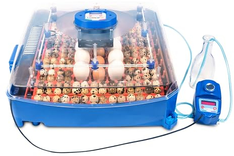 Borotto Lumia 56 Expert Inkubator, Vollautomatische Ei Wendung für 56 Eier oder 224 kleine Eier, mit Luftbefeuchter, Universell für Diverse Eier, Brutmaschine Hühner, Gänse u.v.m., TÜV Sü geprüft
