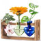 AXIM estaciones de procesamiento de plantas, artesanías creativas de vidrio con soportes de madera maciza retro, kit de terrario para plantas, decoración de jardín en forma de corazón para amantes de