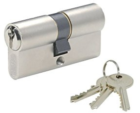 Cylindre de Serrure Profilé STD 30x30mm - Système de Sécurité Double Entrée Laiton Finition Nickel - Usage Porte d'Entrée - Fabriqué en France - Livré avec 3 Clés Crantées - THIRARD