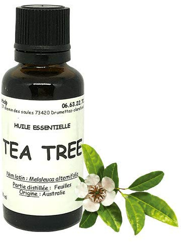 Huile essentielle de Tea tree - arbre à thé (100 ml) Melaleuca alternifolia
