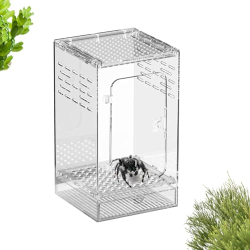 Bönsyrsa Terrarium Ventilerat Reptil Terrarium | Litet Spindelterrarium Och Reptil Habitat För Användning I Inomhus Vid Avel Samt Utfodring Av Ödlor Grodor Eremitkräftor