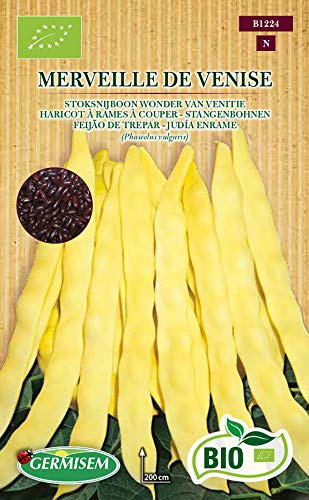 Germisem Biologico Merveille de Venise Semi di Fagiolo Rampicante 80 g