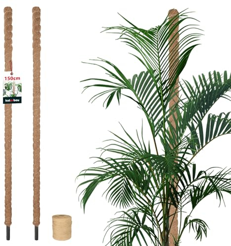 KOTARBAU Lot de 2 bâtons de mousse pour Monstera Coco Natural - Diamètre : 3,2 x 150 cm - Tuteur pour plantes Monstera - Tuteur de coco - Tuteur pour plantes grimpantes - Tuteur de plantes grimpantes