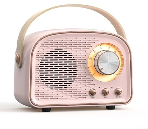 Hasaller Retro Radio Mini Wireless Speaker Portable Speaker with FM Radio Small Bluetooth Speaker Retro Radio Speaker Rechargeable Loud Volume Speaker(Pink)