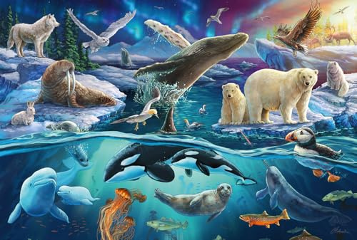 Schmidt Spiele 56484-Puzzle pour Enfants Arctique-150 pièces, Imprimé Animal, 56484, Multicolore