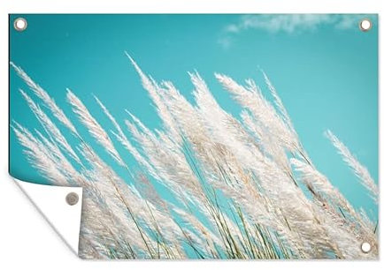 MuchoWow Poster exterieur Herbe de la pampa - Plante Decoration murale 90x60 cm Résistant aux intempéries/soleil