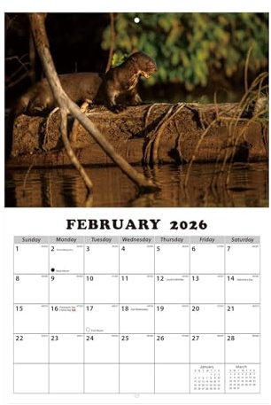 Calendario De Pared 12 Meses,Ilustraciones De Animales En Inglés - Calendario De Pared Con 12 Meses | para Aula Comedor Dormitorio Sala de Estar Estudiantes