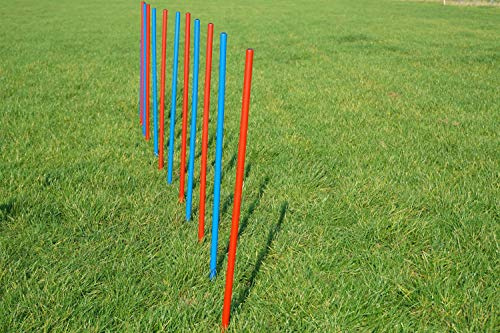Wuzzmann Agility-motion-slalom-set blå/röd flexibel, runda stänger