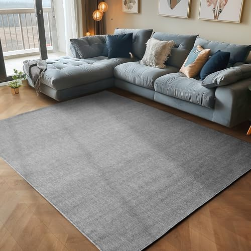 Carpettex Wohnzimmer Teppich - Kurzflor Modern Einfarbig 200 x 290 cm Grau - Waschbar Extra Weich Flauschig für Küche, Schlafzimmer, Kinderzimmer, Esszimmer, Flur