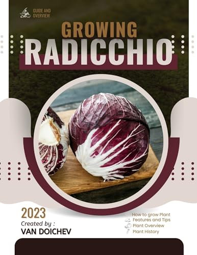 Radicchio: Guide and overview
