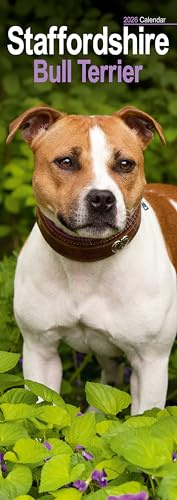 Staffordshire Bull Terrier Slim 2026 Calendar | Slimline Wall Calendar | Dog Breed Gift | Plastic Free Packaging | by Avonside Publishing