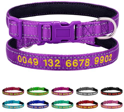 Personalisiert Hundehalsband mit Namen und Telefonnummer Bestickt | Reflektierend Halsbänder Nylon für Kleine Mittlere Große Hunde (Mit Neopren Gepolstert)