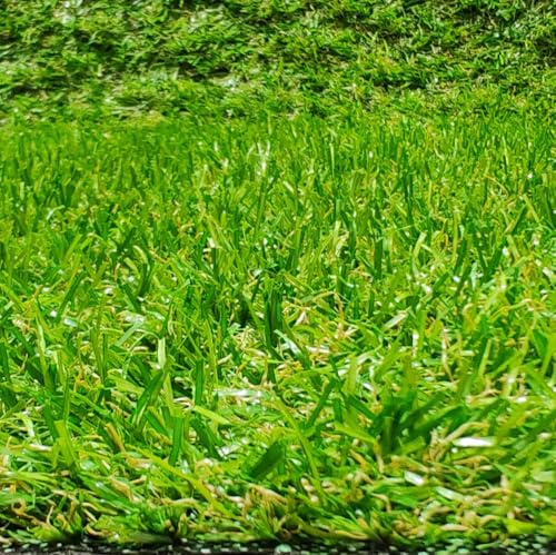 Rollo de Césped Artificial, Moqueta Terraza o Jardín de 20 MM Altura, (100 X 300 Centímetros)