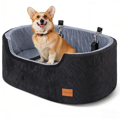 Siège de Kart pour Chien de Taille Moyenne jusqu'à 22,7 kg, siège Booster pour Voitures, SUV et camions, lit de Voyage avec Ceinture de sécurité, Coussin épais, Fond antidérapant, Lavable et Portable
