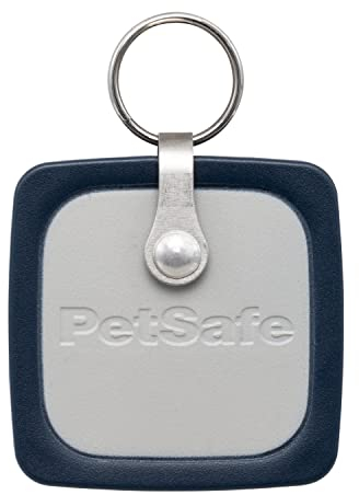 PetSafe® Pet Door Key, Small