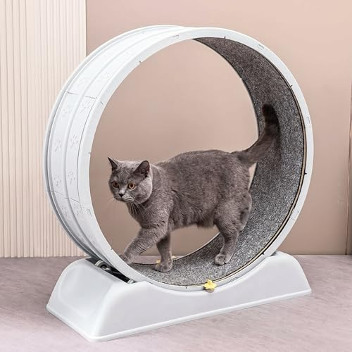 SOONHUA 30 Inch Cat Exercise Wheel with Brake