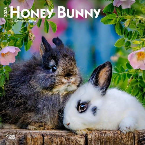 Honey Bunny | Calendario mensual cuadrado de pared 2026 de 12 x 24 pulgadas (colgado) | Sin plástico | BrownTrout | Pequeños animales domésticos lindos