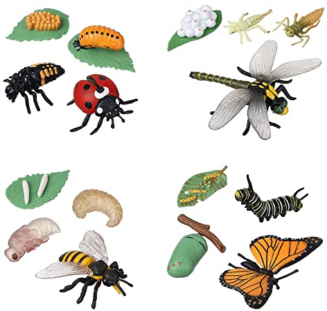 JOKFEICE Giocattoli Insetti 16 Pezzi – Ciclo di Vita di Farfalla, Ape, Libellula e Coccinella – Figure Educative in Plastica, Modelli d’Azione per Progetti Scientifici, Regalo Bambini