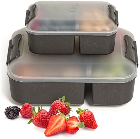 Hausfelder Brotdosen Lunchbox 2er Set, Lunchbox mit Fächern, Bento Box für Erwachsene und Kinder (SpaceBlack, 1 x Groß 1 x Klein)