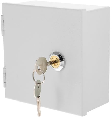 Healifty Scatola Antifurto in Acciaio Inossidabile Con Serratura Per Prese Elettriche Box Impermeabile Montaggio a Parete Per Protezione Interruttori E Ricarica Veicoli Elettrici 4.72X4.72X2.56In
