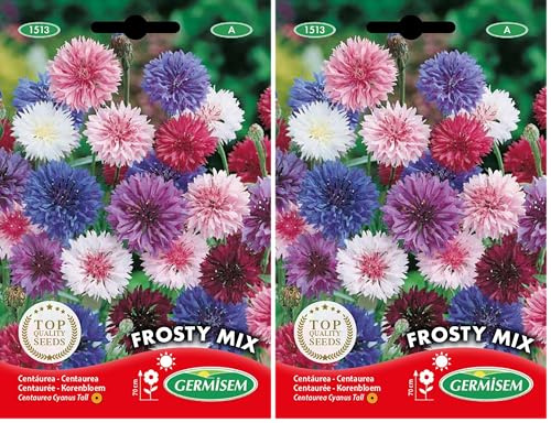 Germisem Kornblume FROSTY MIX EC1513 mehrfarbig (Packung mit 2)